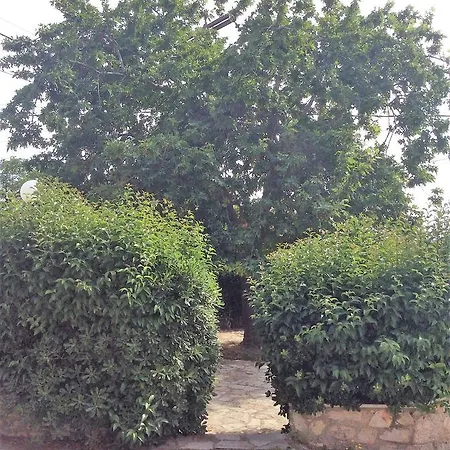Lovely Traditional Ligourio
