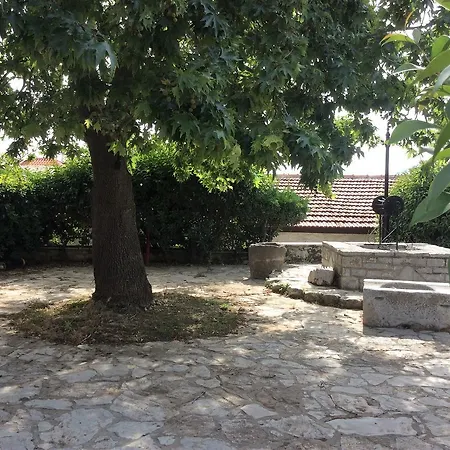 Lovely Traditional * ליגוריו
